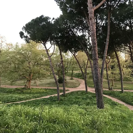 Little London In * Roma